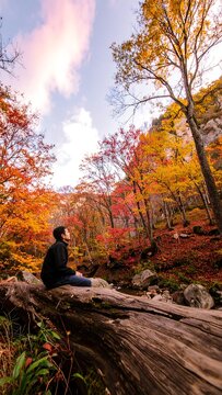 Autumnal serenity, contemplation