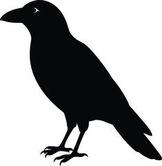 Abstract swirl of radiant colors evokes energy and creativity isolated on transparent background