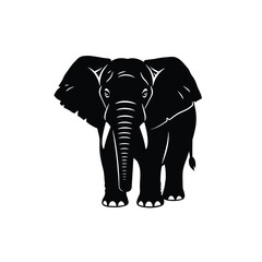 Majestic african elephant facing forward detailed illustration stark black silhouette