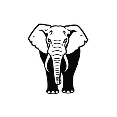 Striking black and white elephant head facing forward a sharp silhouette