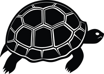 Abstract dynamic swirl energy flow movement and transformation concept isolated on transparent background