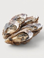 Fresh Raw Oysters on a Light Background for Culinary Use