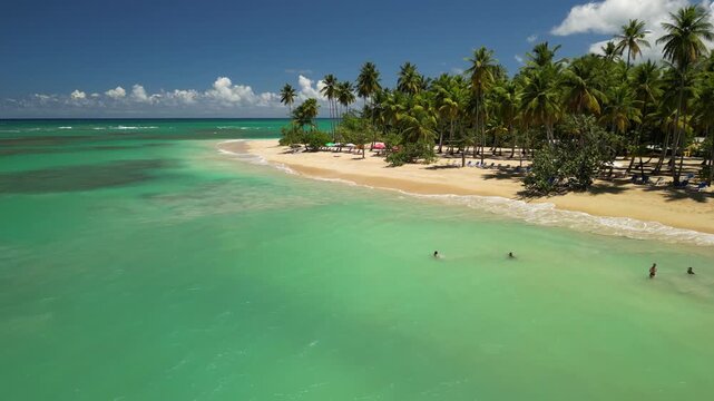 Drone footage of Punta Popy Beach &mdash; soft waves, ocean, and tropical palms. Ideal for wellness and relaxation visuals