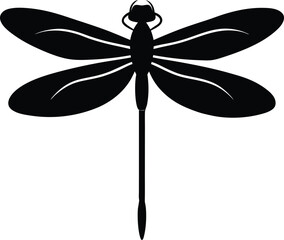 Abstract blurry bokeh lights bokeh effect photography light streaks subtle gradient soft focus atmosphere isolated on transparent background