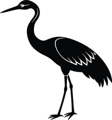 Abstract geometric pattern of intersecting lines and circles in monochrome tones isolated on transparent background