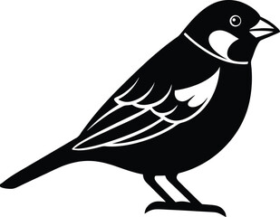 Abstract geometric pattern swirl fluid motion dynamic shapes vibrant color isolated on transparent background