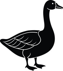 Abstract colorful swirls energetic fluid motion dynamic organic shapes background texture isolated on transparent background