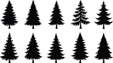 Collection of pine tree silhouettes, black evergreen icons, vector Christmas trees, isolated nature elements, graphic design set