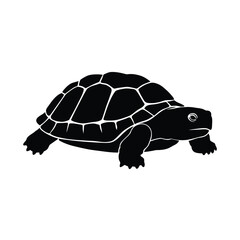 A striking black turtle design presents a bold graphical silhouette