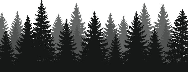 Silhouette of dense pine forest, misty woodland background, black and white nature scene, tranquil evergreen trees, atmospheric forest landscape