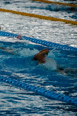 Professional Swimming Action in Water
