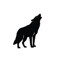 A striking black wolf stands howling at the moon a silhouette