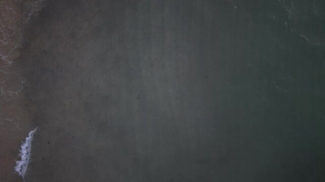 Aerial View of Roosterfish Attacking a School of Sardines in the Ocean