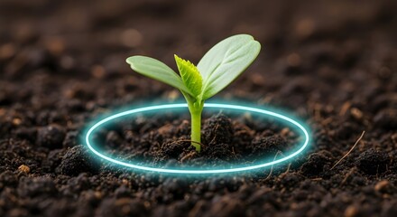Futuristic Concept of Plant Growth and Environmental Technology