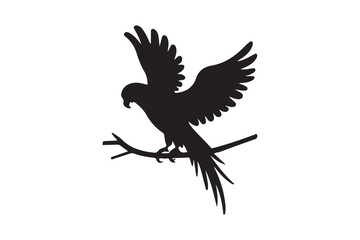 Fototapeta premium Silhouette of a parrot perched on a branch with wings spread