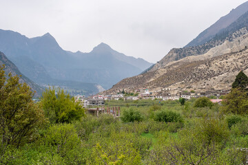 Naklejka premium Marpha Village with Apple Orchards in Nepal. Mountain valley village scene, lush green foreground under a cloudy sky. Rural Life and Agriculture in the Annapurna Region