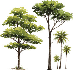 Watercolor painted tree collection isolated on white background nature illustration