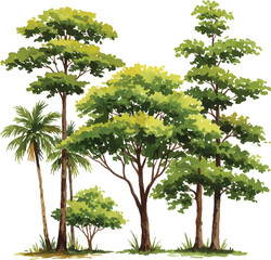 Fototapeta premium Watercolor illustration of various tropical trees on a white background artwork