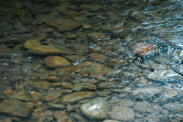Flowing water over smooth stones in a quiet stream under natural light during a calm afternoon