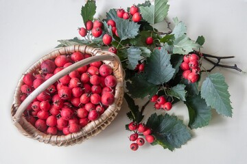 Basket with hawthorn top view