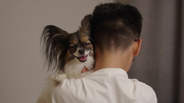 Loving dog enjoys a cozy moment with its owner playfully resting on his shoulder. Back view of happy teenager cuddling papillon dog. Boy hugging his pet with love.
