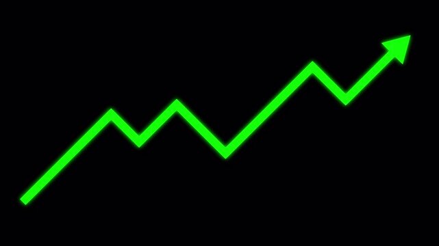 Profit and Loss, Stock Market Animation