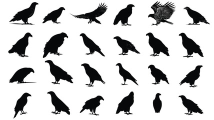 Obraz premium Eagle Silhouettes Vector Set Large Pack - Professional Vectors for Designs