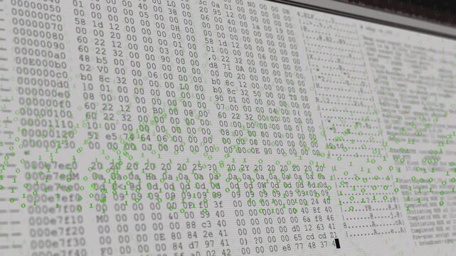 Cascading green binary rain starting monitor overlay, hex dump scrolling and showing data parsing