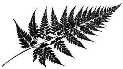 Exquisite Fern Vector Illustration Featuring Wild Plant Leaves Held in Hand