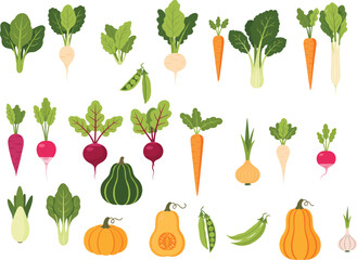 Root vegetables, leafy greens, squash, garlic, onion, colorful produce, healthy food, organic ingredients, kitchen prep, nutrition asset, cooking