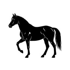 horse silhouette isolated on white