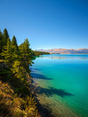 Turquoise lake shoreline with evergreen trees and distant mountains