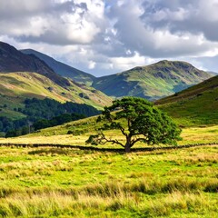 Obraz premium Lush valley with mountains and a lone tree
