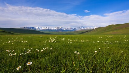 Idyllic alpine meadow with blooming daisies and snowy mountain peaks