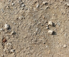 A close view of the hard dirt surface.