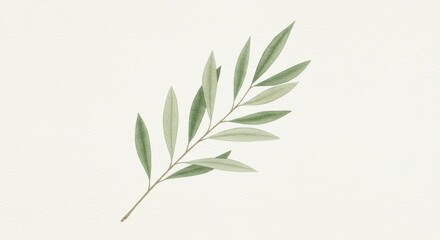 Fototapeta premium Green olive branch on neutral background in minimalist design 