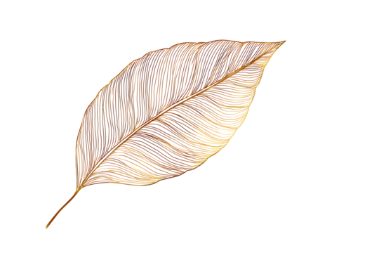golden one line art leaf isolated on white