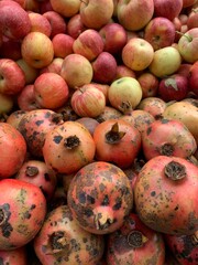pomegranate fruit on market