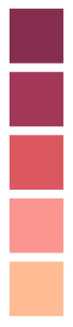 Paleta de colores burgundy y coral - Muestras de tonos rosados y rojizos para dise&ntilde;o rom&aacute;ntico