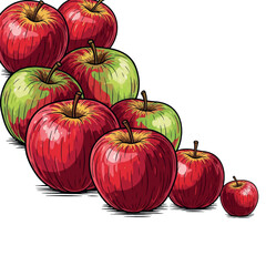 drawing, fruit, illustration, food, vector, organic, design, leaf, apple, summer, art, fresh, healthy, set, graphic, isolated, vegetarian, vitamin, sketch, icon, nature, diet, collection, drawn, line,