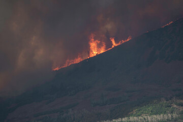 Fototapeta premium Flames, Smoke, and a Charred Landscape Surround Homes