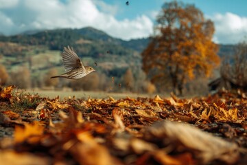 Brown bird with a small beak and black feathers in the forest grass