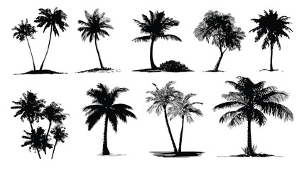 Tropical Palm Trees Silhouettes Set on Isolated Background for Design Projects