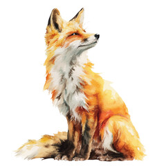 Fox, watercolor painting, vector illustration, isolated on a white background.