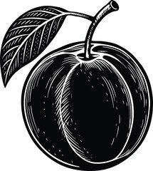 Vintage camera photography equipment retro style aperture lens elements isolated on transparent background