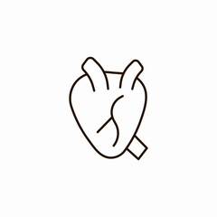 human heart diagram icon sign vector