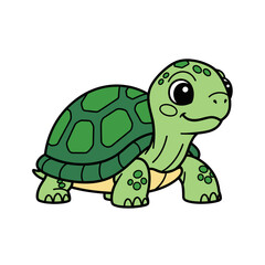 Cute Turtle