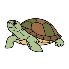 Turtle Design