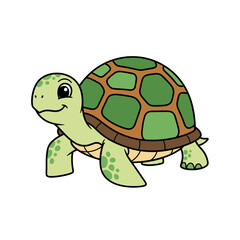 Cute Turtle