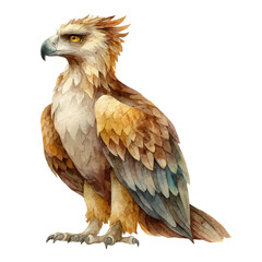 Griffin, watercolor painting, vector illustration, isolated on a white background.
